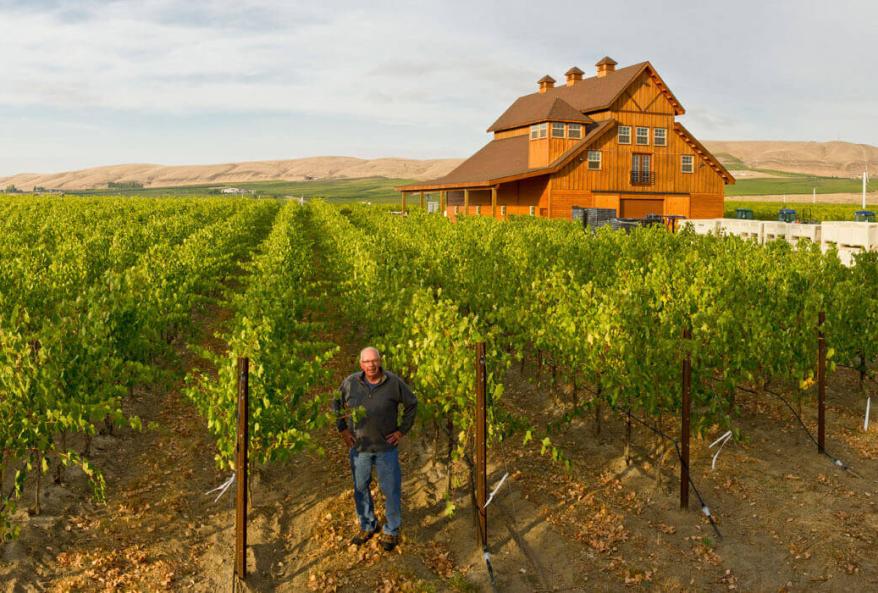 Two Hundred Years of Washington Wine