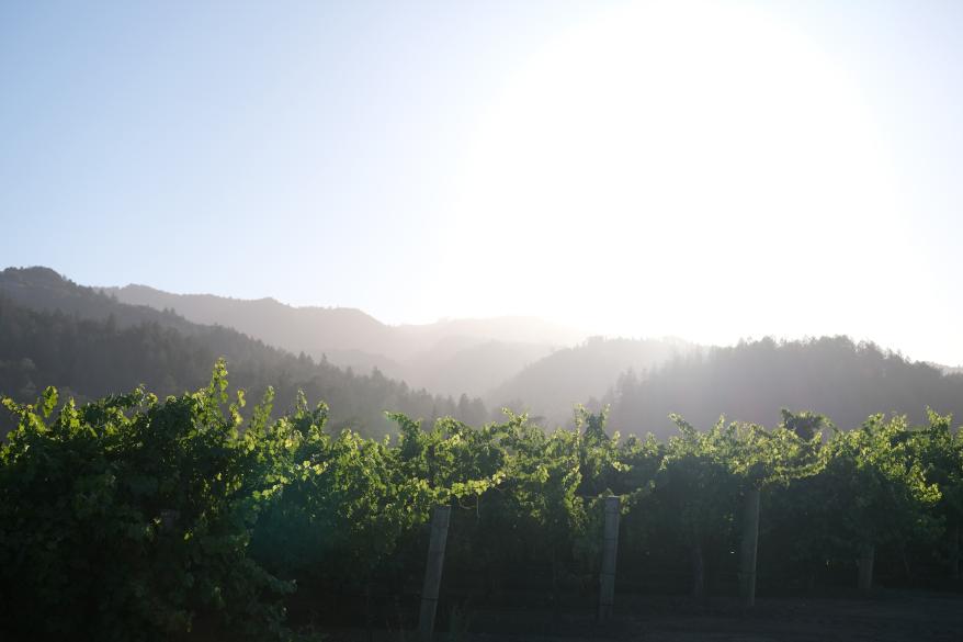 Winebow's commitment to ESG